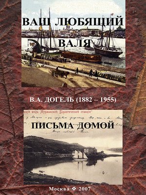 cover image of Ваш любящий Валя. В. А. Догель (1882–1955). Письма домой